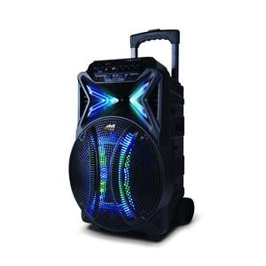 12" Portable Bluetooth Karaoke Speaker w/ Lights