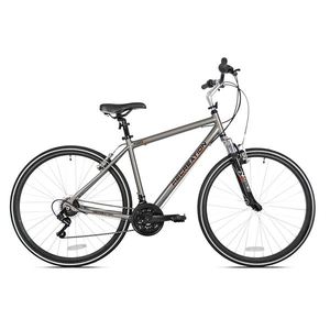 Hybrid Bike