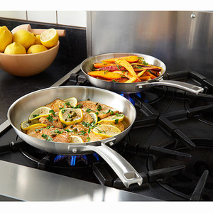 Classic Stainless Steel 8" & 10" Fry Pan Combo