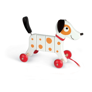 Crazy Rocky Pull Toy