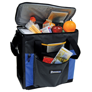 Koolatron Michelin hybrid cooler (12v)