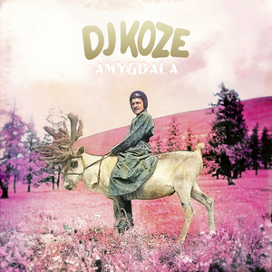 Amygdala - DJ Koze