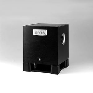 250W Powered Subwoofer w/ Advanced YST
