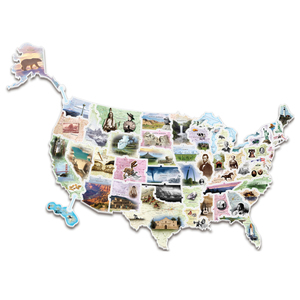Pacon Wonderfoam Giant Usa Photo Puzzle Map