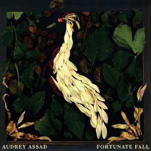 Fortunate Fall - Audrey Assad