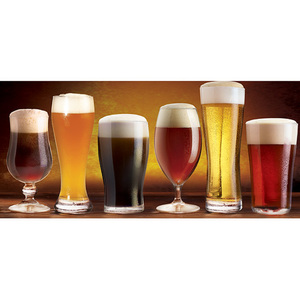 6-Pc Craft Brew Assorted Set