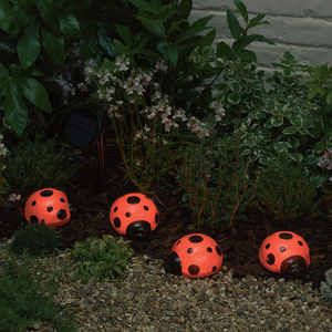 Ladybug Solar Light Set - Set of 4