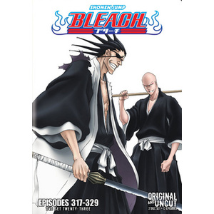 Bleach Box Set 23