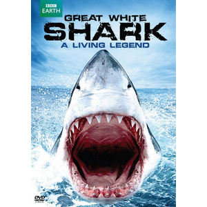 Great White Shark-Living Legend